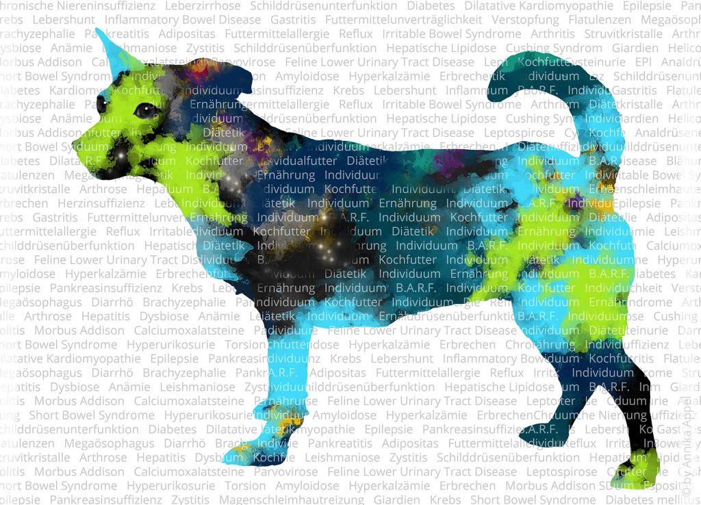 Drachenreiter Barf Futterblatt